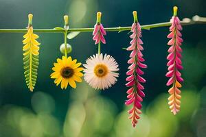 Foto tapet de himmel, blommor, solros, grön, natur, blommor, de himmel,. ai-genererad