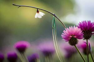 en blomma i de fält. ai-genererad foto