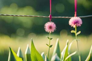 två rosa blommor hängande från en tråd. ai-genererad foto