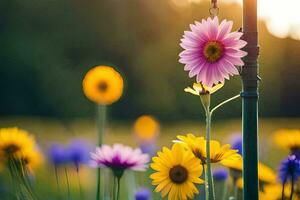 en fält av blommor med en Sol lysande i de bakgrund. ai-genererad foto