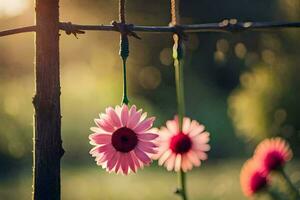 två rosa blommor hängande från en hullingförsedda tråd staket. ai-genererad foto