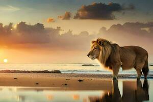 de lejon är stående på de strand på solnedgång. ai-genererad foto
