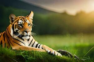 en tiger är Sammanträde på de gräs i de Sol. ai-genererad foto
