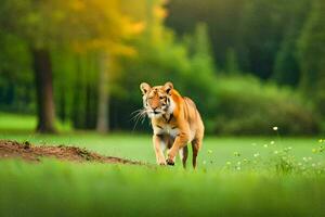 en tiger gående tvärs över en grön fält. ai-genererad foto