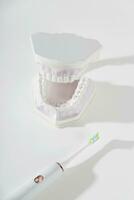 elektronisk tandborste Nästa till käke modell med tänder på vit bakgrund. foto