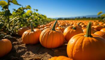 höst skörda pumpa, kalebass, natur vibrerande firande av tillväxt genererad förbi ai foto