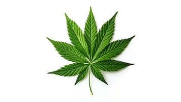 cannabis blad isolerat på en vit bakgrund. ai genererad foto