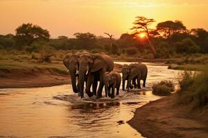 elefanter i chobe nationell parkera, botswana, afrika, elefanter korsning olifant flod, kväll skott, kruger nationell parkera, ai genererad foto