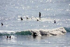 en grupp av människor är i de vatten på surfingbrädor foto