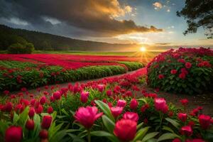de Sol uppsättningar över en fält av röd tulpaner. ai-genererad foto