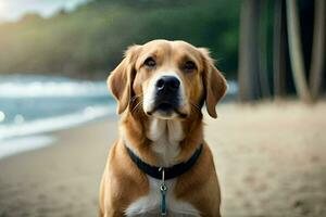 en hund Sammanträde på de strand med en blå himmel. ai-genererad foto