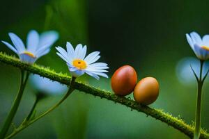 två ägg på en gren med vit blommor. ai-genererad foto