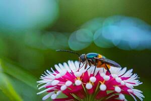 en bi på en blomma med en suddigt bakgrund. ai-genererad foto