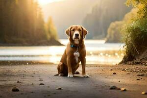 en hund Sammanträde på de sida av en väg nära en sjö. ai-genererad foto