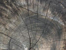 mörkbrun trä textur bakgrund foto