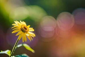 en enda gul blomma i främre av en suddig bakgrund. ai-genererad foto