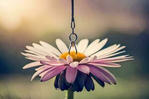 en rosa daisy hängande från en krok i de gräs. ai-genererad foto