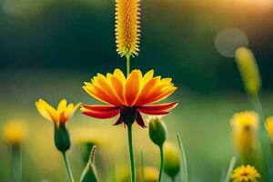 en gul och orange blomma i en fält. ai-genererad foto