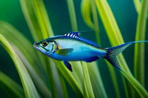 blå fisk i de vatten med grön gräs. ai-genererad foto