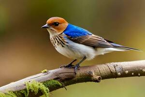 en blå och vit fågel är Sammanträde på en gren. ai-genererad foto