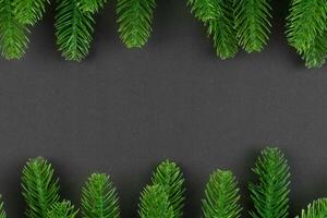 topp se av färgrik bakgrund tillverkad av grön gran träd grenar. ny år Semester begrepp med kopia Plats foto
