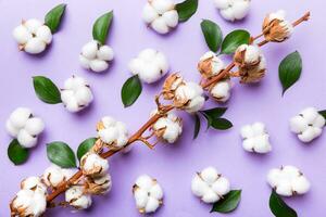 höst blommig platt lägga bakgrund sammansättning. torkades vit fluffig bomull blomma gren topp se på färgad tabell med kopia Plats foto