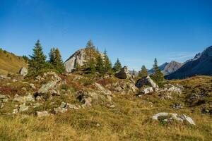 höst tid i schweiz foto