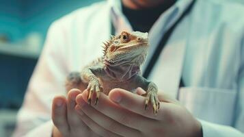 veterinär klinik för exotisk djur. ödla i de händer av en veterinär. ai generativ foto