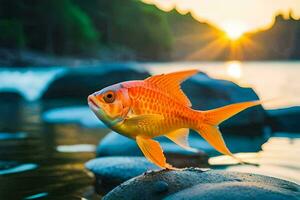 guldfisk på stenar på solnedgång. ai-genererad foto