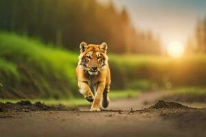 en tiger gående tvärs över en smuts väg på solnedgång. ai-genererad foto