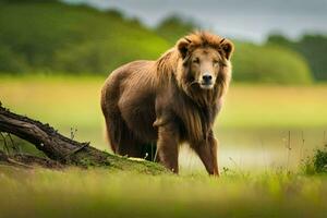 en lejon stående i de gräs nära en sjö. ai-genererad foto