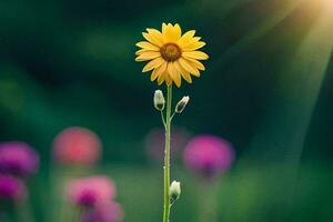 en enda gul blomma står ut i de Sol. ai-genererad foto