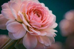 en stänga upp av en rosa blomma. ai-genererad foto