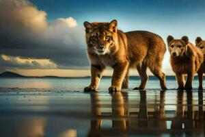 tre lejon gående på de strand med vatten. ai-genererad foto