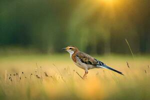 en fågel är stående i en fält med de Sol i de bakgrund. ai-genererad foto