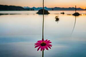 en rosa blomma är stående i de vatten på solnedgång. ai-genererad foto