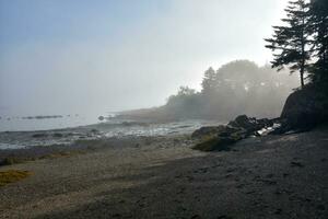 tidigt morgon- dimma längs en kust strand foto