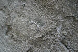 ojämn cement och sand vägg textur bakgrund, grungy cement vägg yta, rustik sand vägg foto