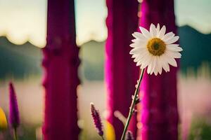 en enda blomma är stående i främre av en rosa kaktus. ai-genererad foto