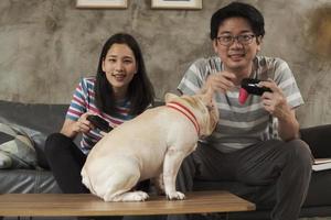 asiatiskt par spelar tv -spel och husdjur i närheten. foto