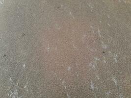 textur av de sand på de öst java strand foto
