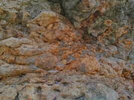 textur av sten på de strand på öst java foto