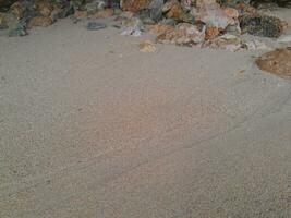 korall sten på de Strand på öst java strand foto