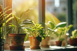 hus växter på fönsterkarm i morgon- solljus. generativ ai foto
