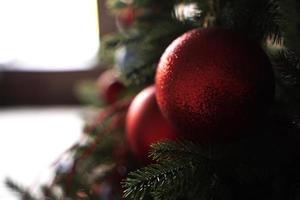 glänsande julröd boll som hänger på tallgrenar foto