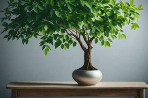 en bonsai träd i en pott på en tabell. ai-genererad foto