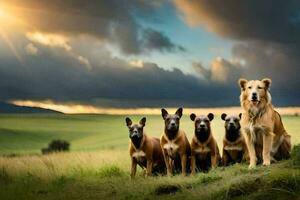 en grupp av hundar Sammanträde på en kulle. ai-genererad foto