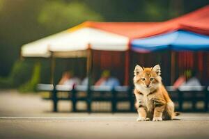 en små katt Sammanträde på de jord nära en röd tält. ai-genererad foto