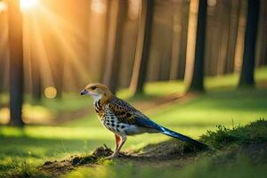 en fågel är stående på en gräs- fält med de Sol lysande. ai-genererad foto
