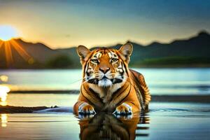en tiger är Sammanträde i de vatten på solnedgång. ai-genererad foto